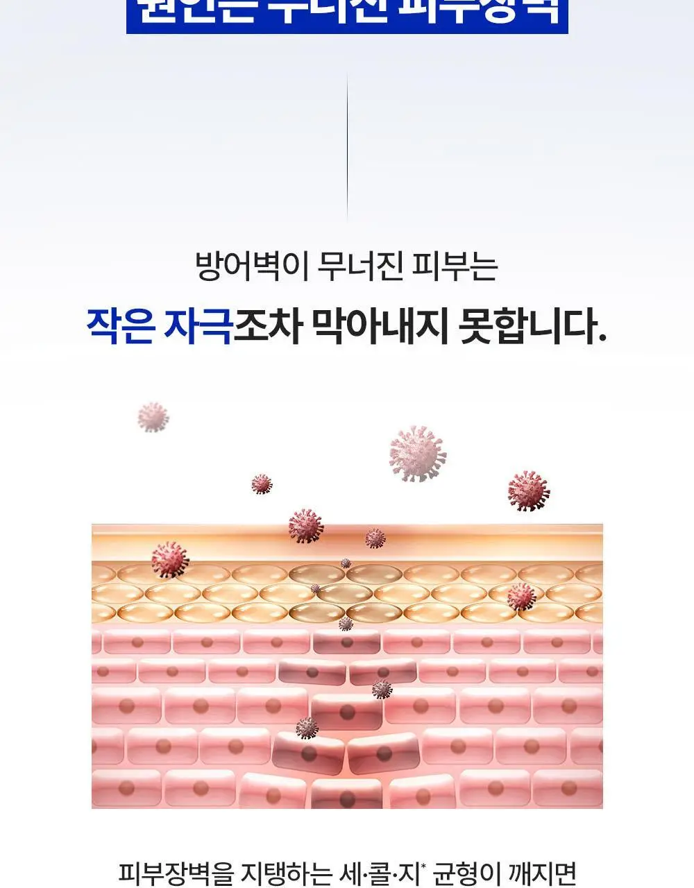 [조슈아PICK/1+1] 리얼베리어 익스트림 크림 70ml 1+1 기획 상세페이지 4